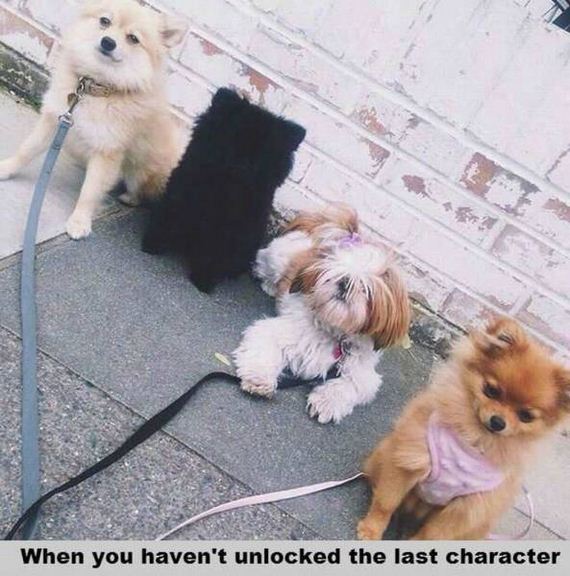 funny-pictures-1084