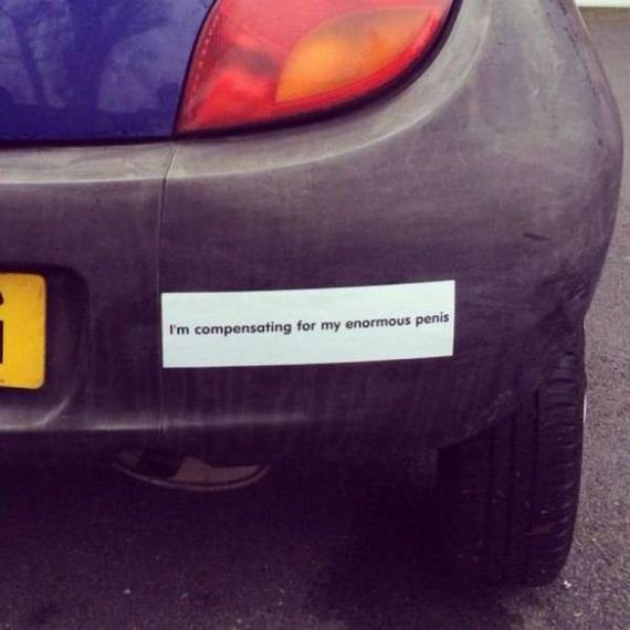 funny-pictures-1085