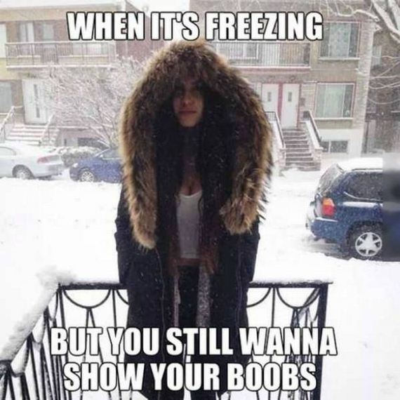 funny-pictures-1085