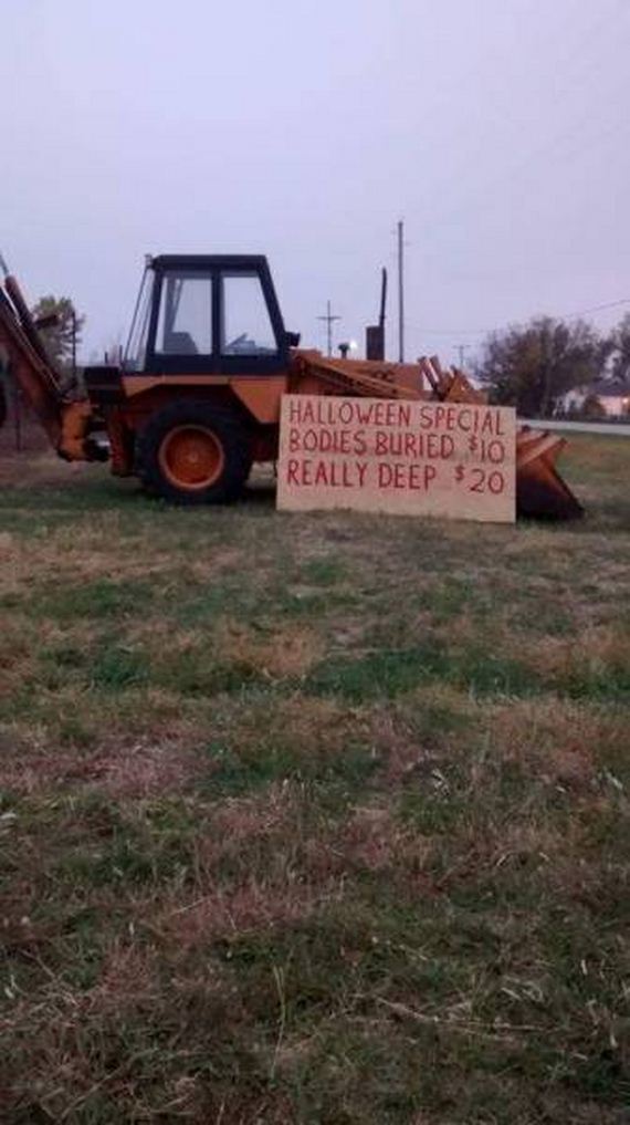 funny-pictures-1085