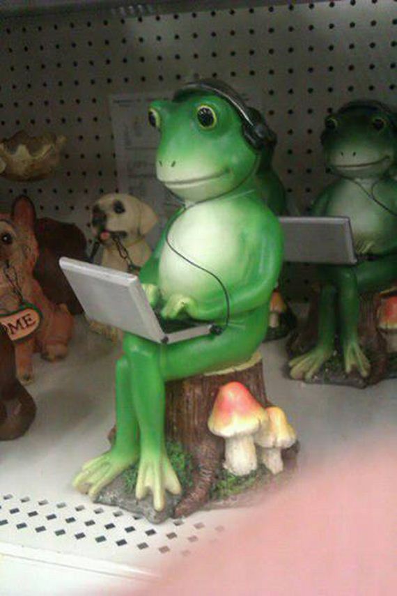 funny-pictures-1085