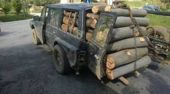 funny-pictures-1086