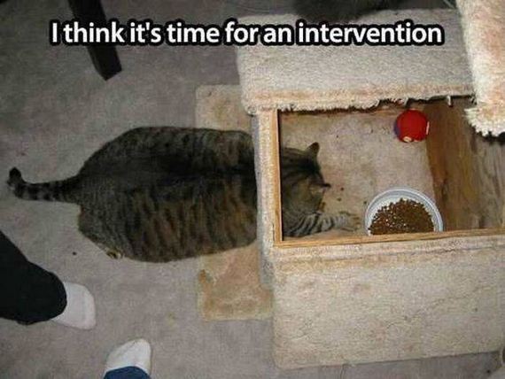 funny-pictures-1086