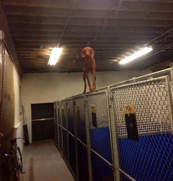 funny-pictures-1086