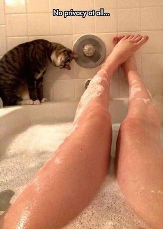 funny-pictures-1086