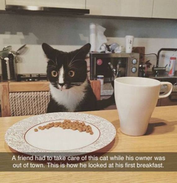 funny-pictures-1086