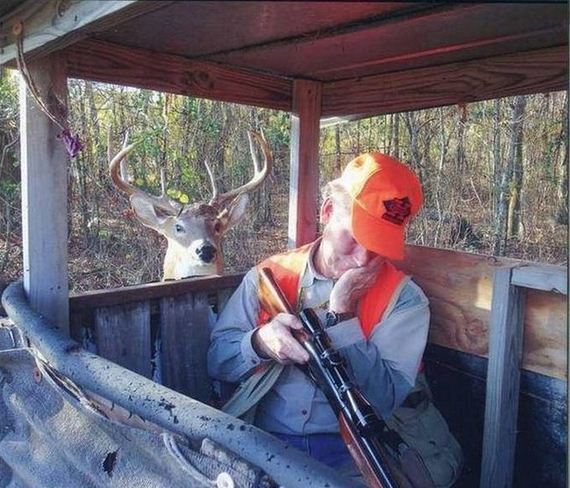 funny-pictures-1087
