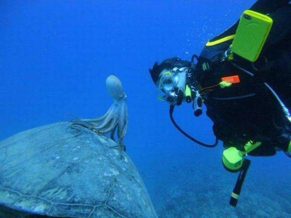 funny-pictures-1087