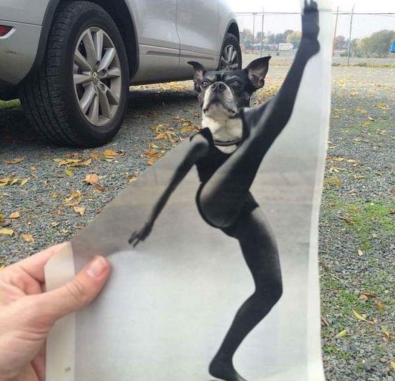 funny-pictures-1087
