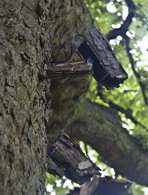 funny-pictures-1087
