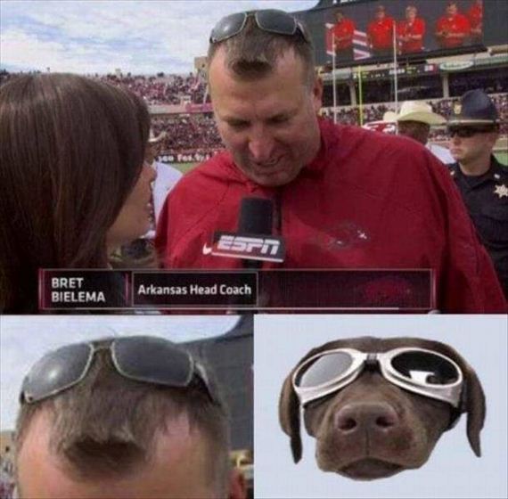 funny-pictures-1087