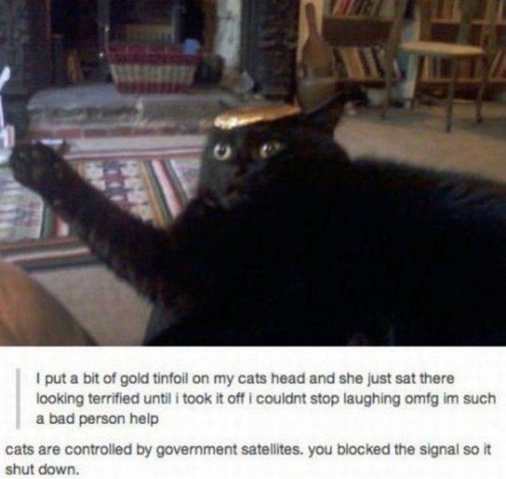 funny-pictures-1087