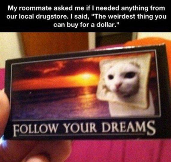 funny-pictures-1087