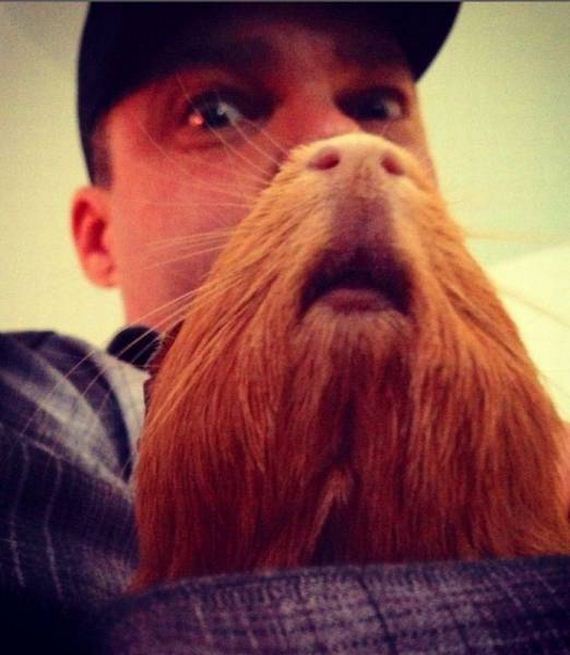 funny-pictures-1087