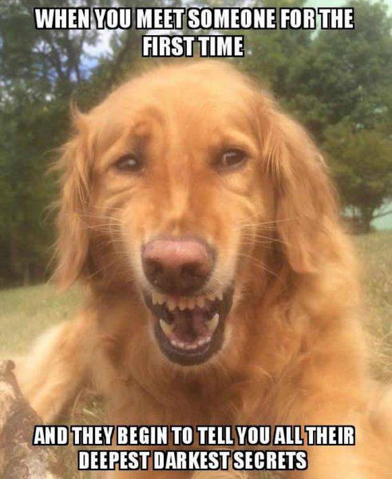 funny-pictures-1087
