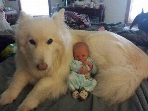 funny-pictures-1088
