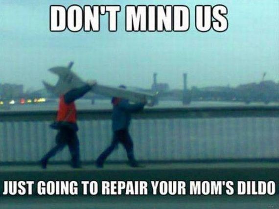 funny-pictures-1088