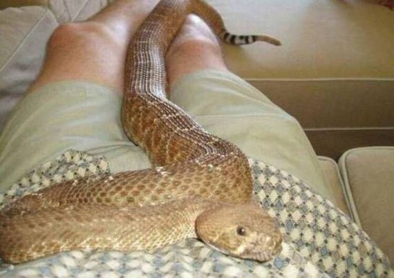 funny-pictures-1088