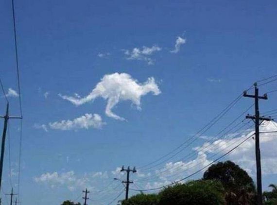 funny-pictures-1088