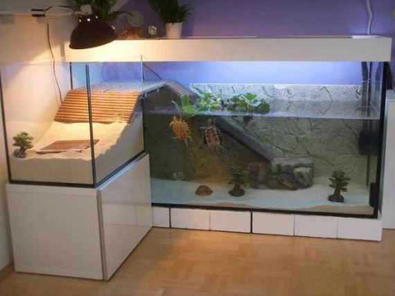 funny-pictures-1088