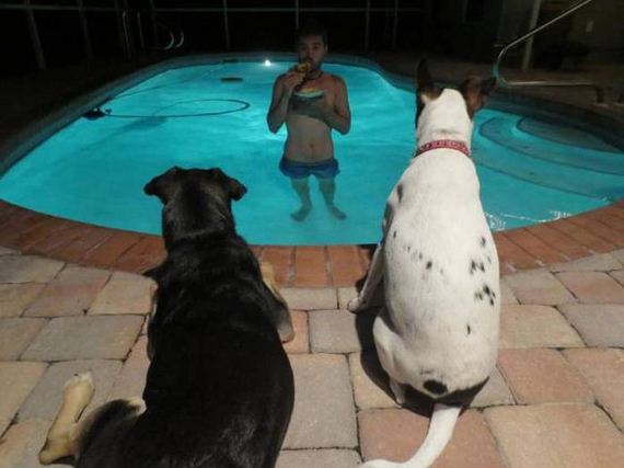 funny-pictures-1088