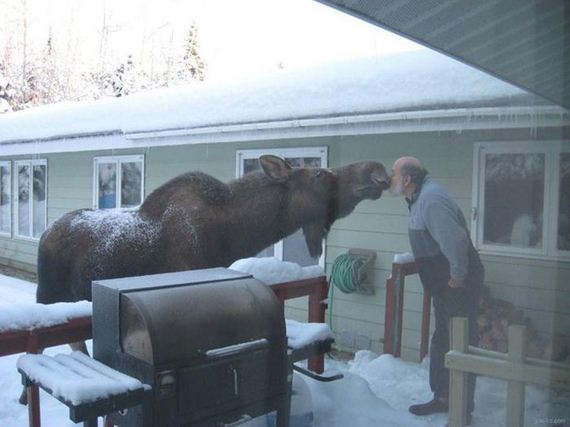funny-pictures-1088
