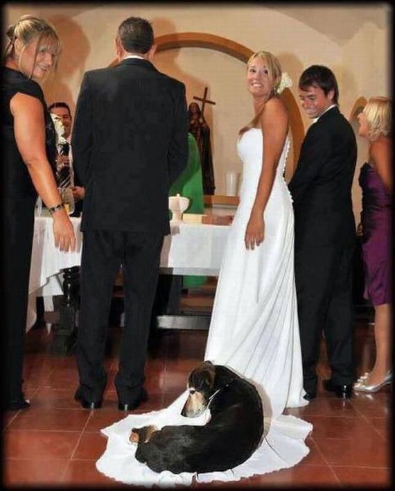 funny-pictures-1088