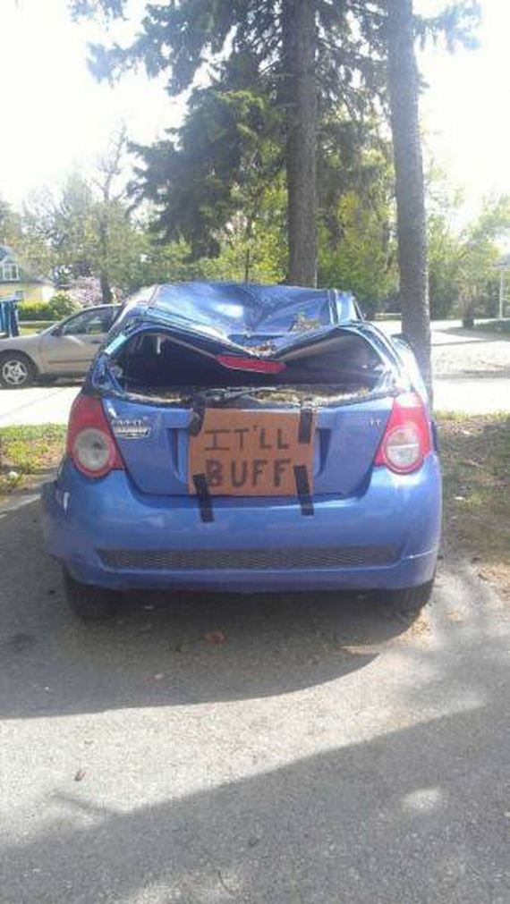 funny-pictures-1088