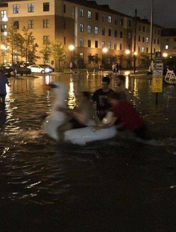funny-pictures-1088