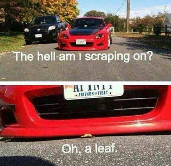 funny-pictures-1088