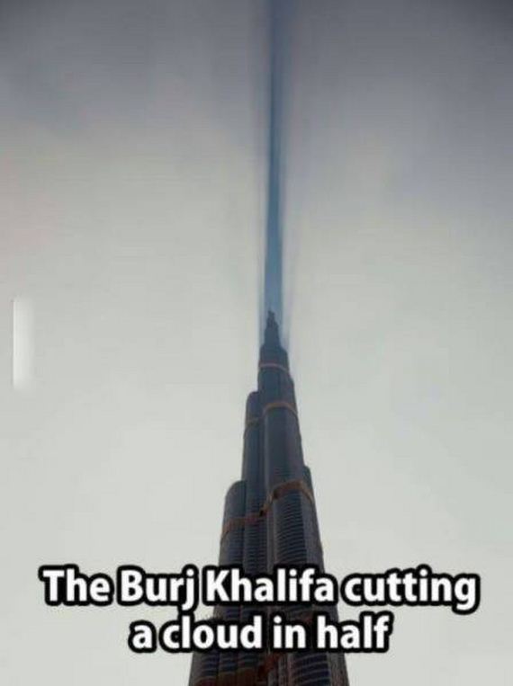 funny-pictures-1088