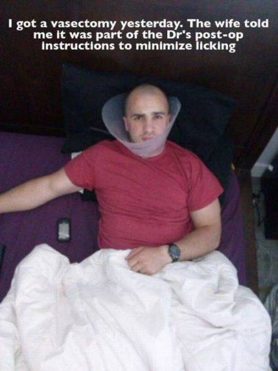 funny-pictures-1088