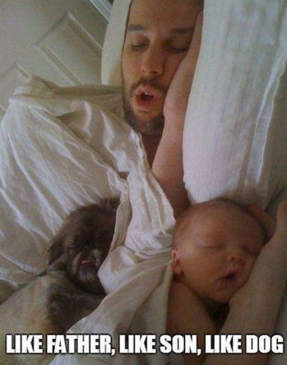 funny-pictures-1092