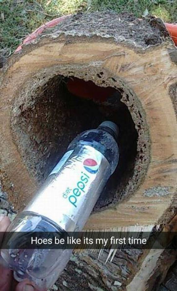 funny-pictures-1092