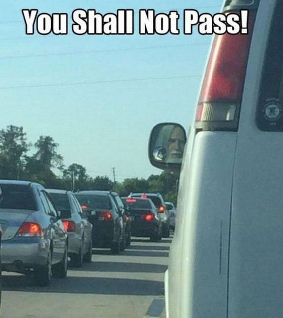 funny-pictures-1092