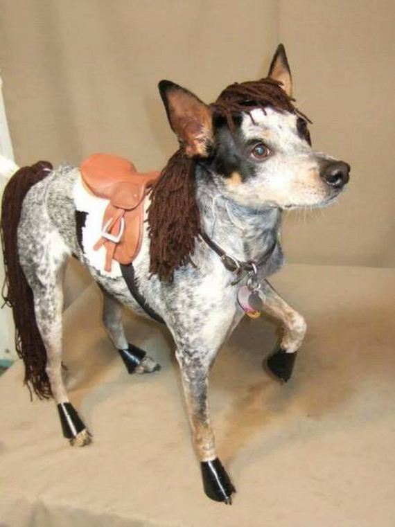 funny-pictures-1092