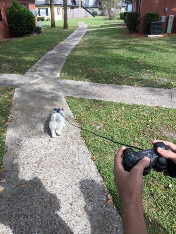 funny-pictures-1092