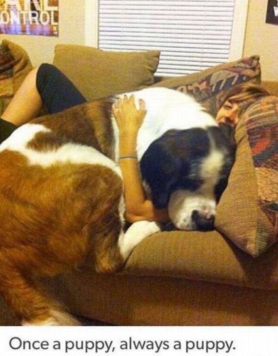 funny-pictures-1092
