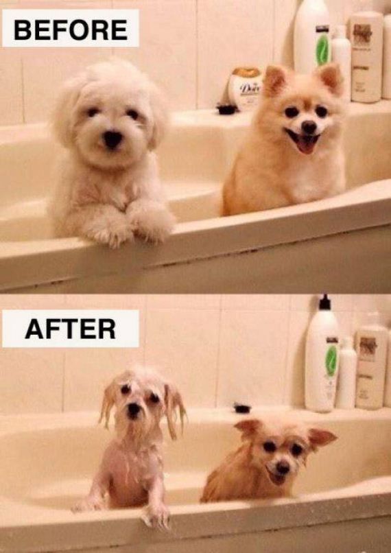 hilarious_before_and_after