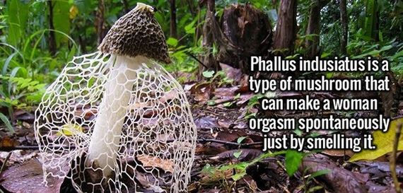 interesting_facts
