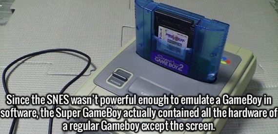 interesting_facts