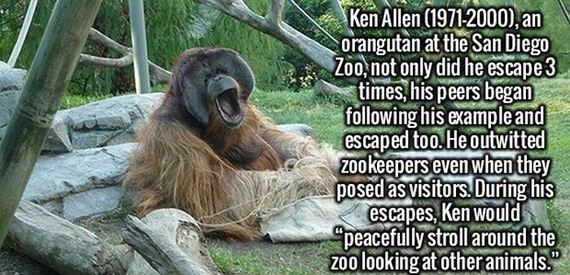 interesting_facts