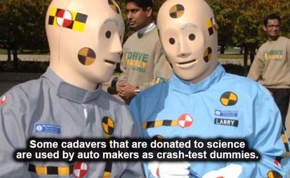 interesting_facts