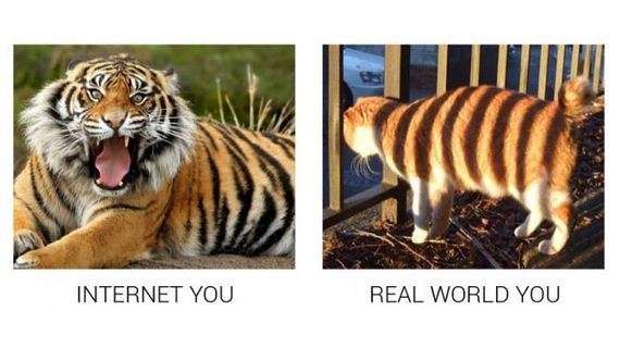 internet_you_vs_real_you