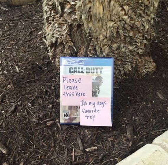 lost_dog