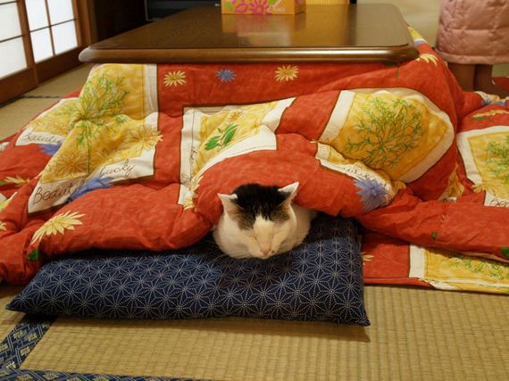 never-leave-bed-again