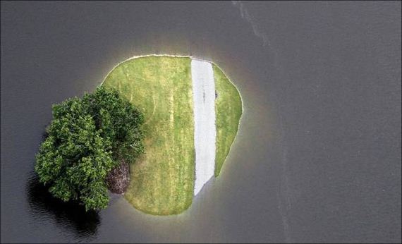 south_carolina_is_covered