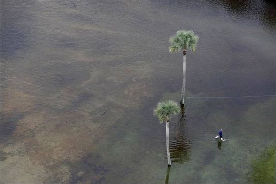 south_carolina_is_covered