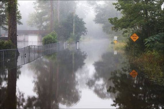 south_carolina_is_covered