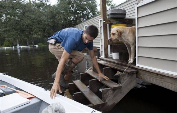 south_carolina_is_covered